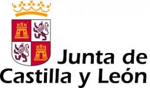 Junta de Castilla y León